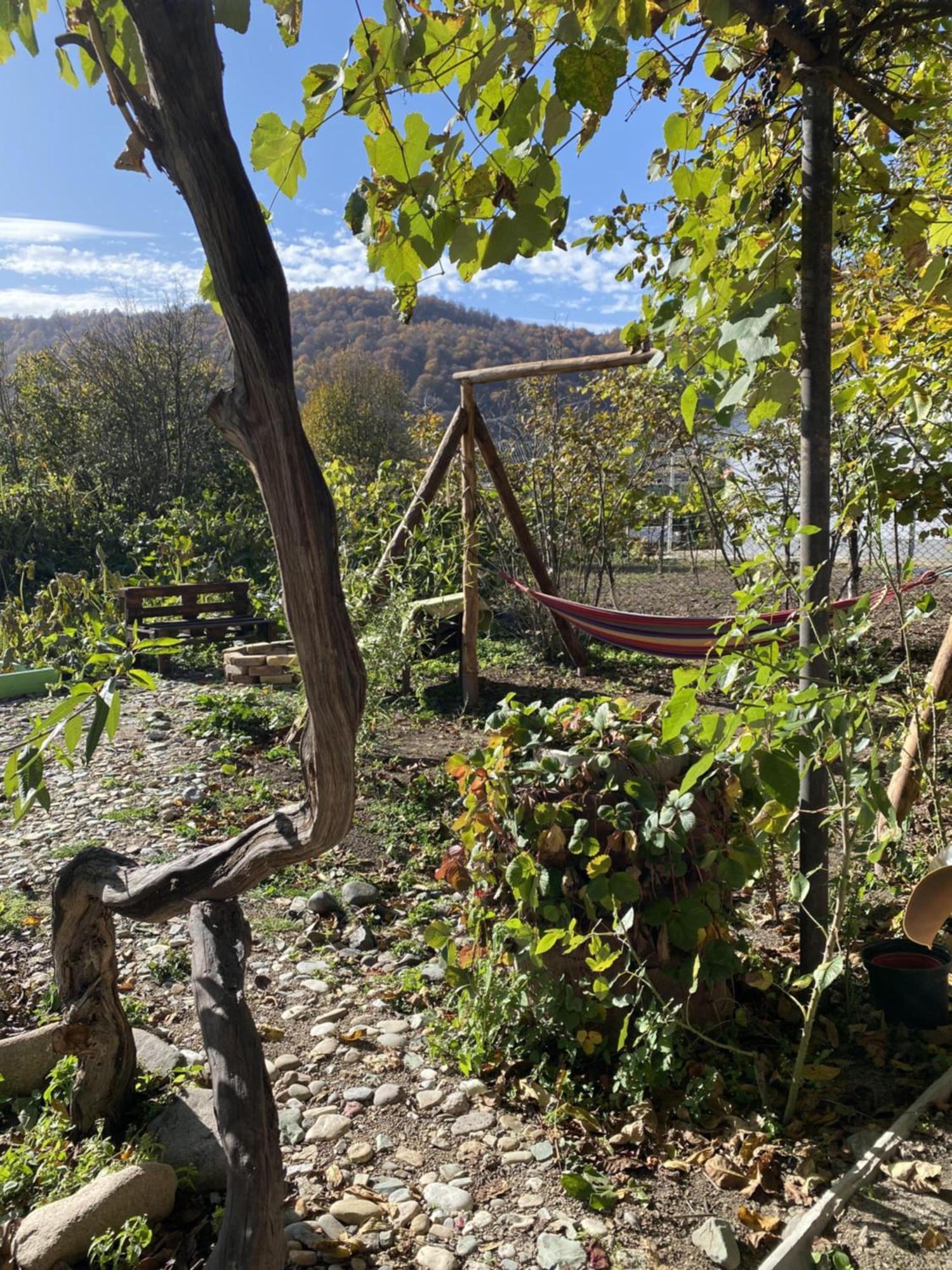 Green Park Guest House Dilijan Exterior foto