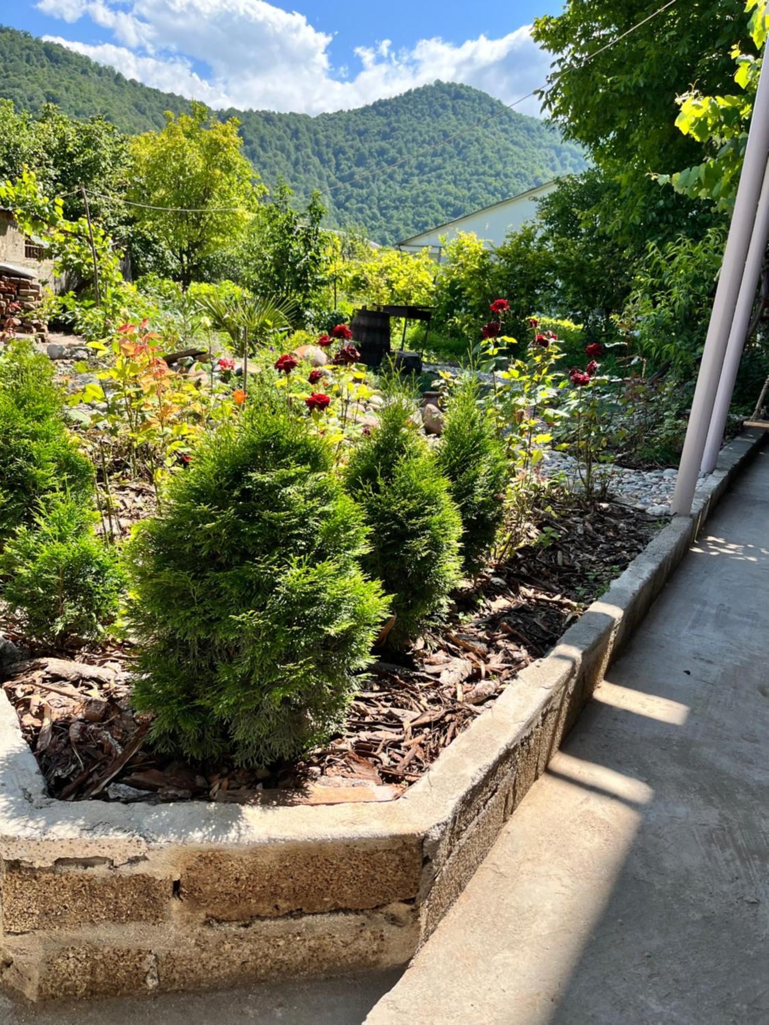 Green Park Guest House Dilijan Exterior foto